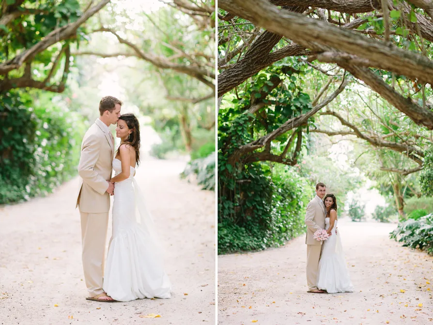 A serene beach with clear skies and a palm tree leaning over the shore.