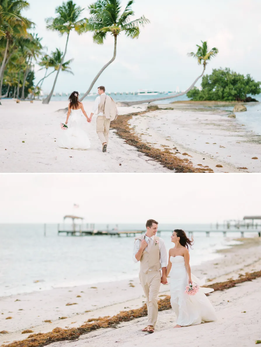 A serene beach with clear skies and a palm tree leaning over the shore.