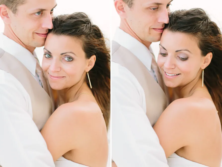 A serene beach with clear skies and a palm tree leaning over the shore.