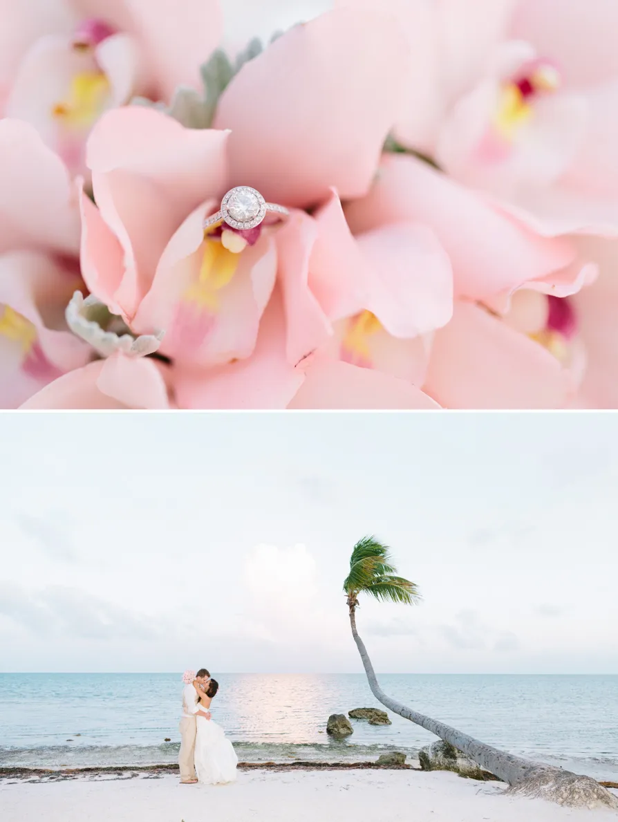 A serene beach with clear skies and a palm tree leaning over the shore.