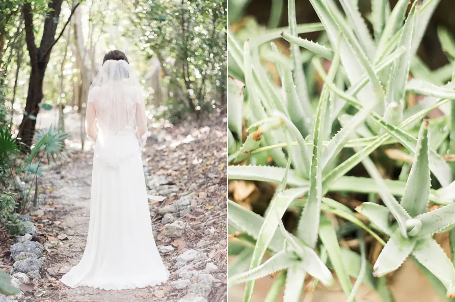 A colorful, abstract digital artwork with swirling patterns and vibrant colors.