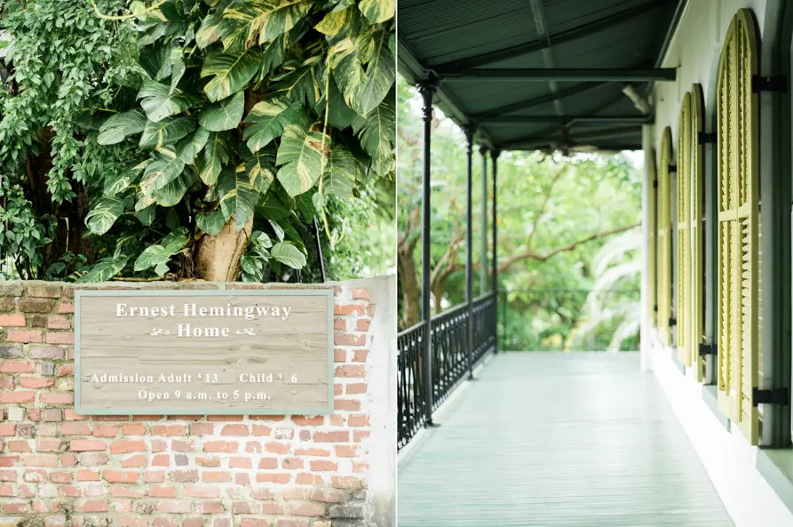 A colorful, abstract digital artwork with swirling patterns and vibrant colors.