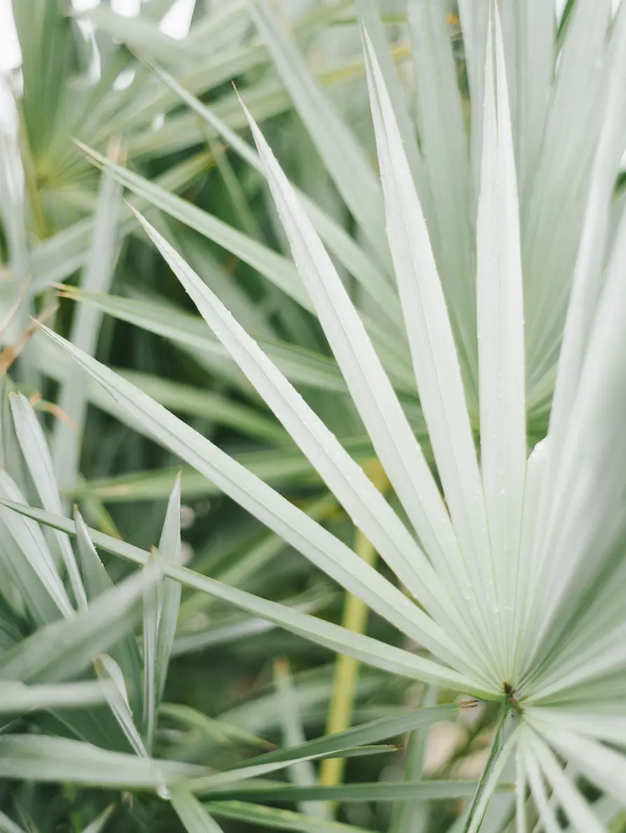 A colorful, abstract digital artwork with swirling patterns and vibrant colors.