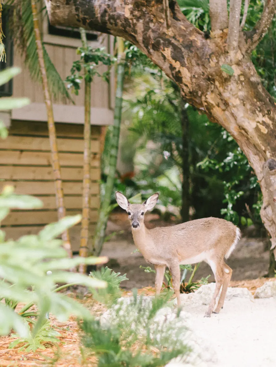 A colorful, abstract digital artwork with swirling patterns and vibrant colors.