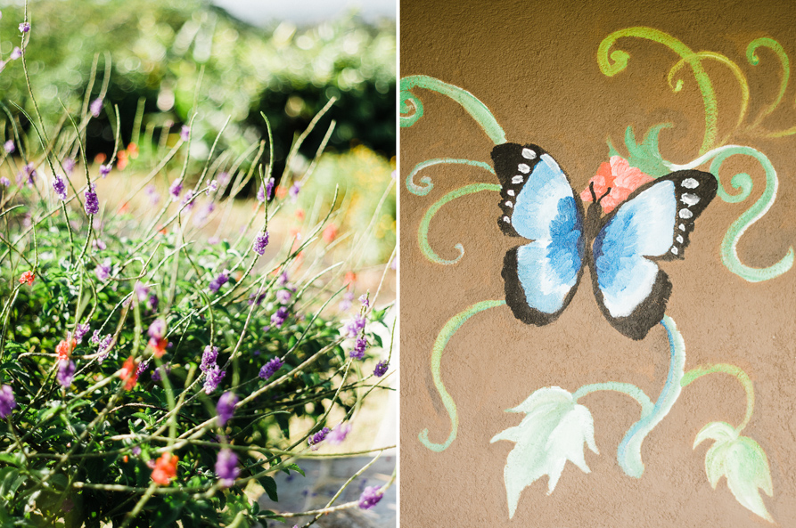 Costa Rica Elopement