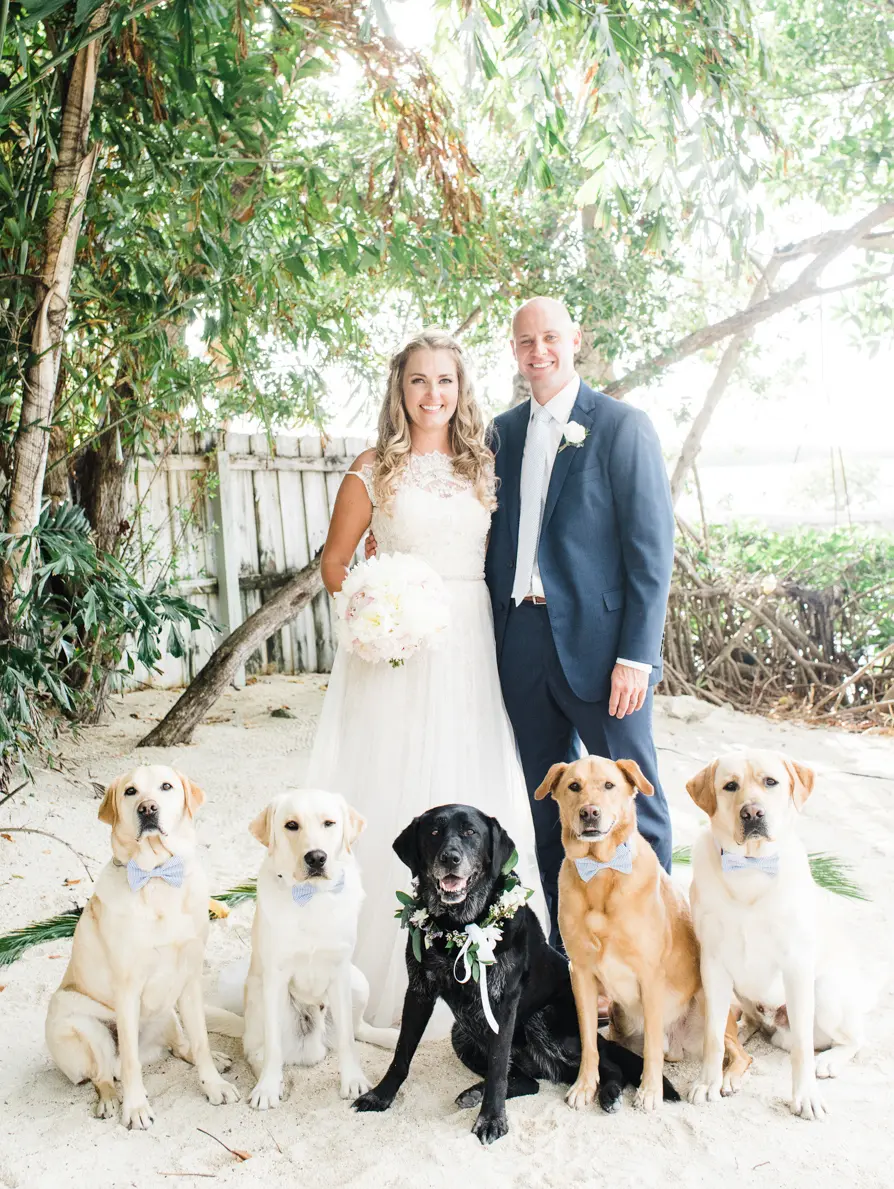 A colorful, abstract digital artwork with swirling patterns and vibrant colors.