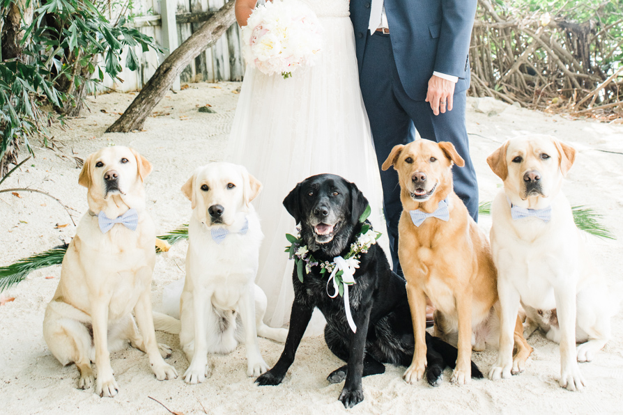 dog friendly wedding, key west wedding