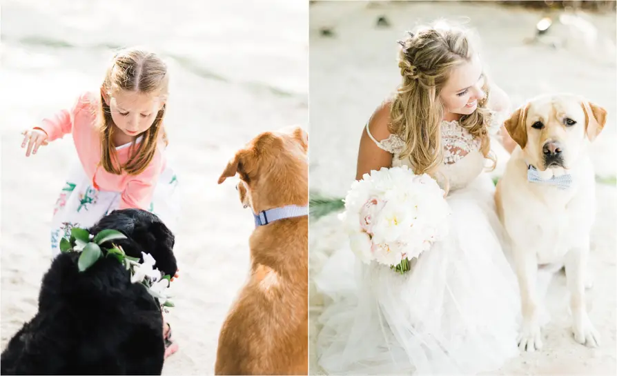 A colorful, abstract digital artwork with swirling patterns and vibrant colors.