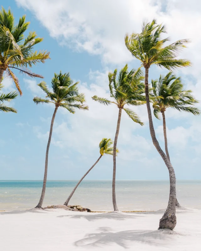 Quietness #islamorada #floridakeys #islandlife
